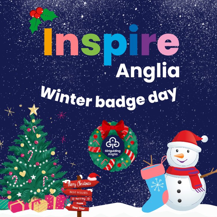 image relating to Inspire Winter badge day